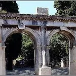 Artusi