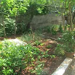 Artusi