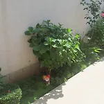 Artusi Appartamento