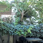 Appartamento Artusi