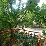 Artusi * Pola