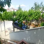 Artusi * Pola