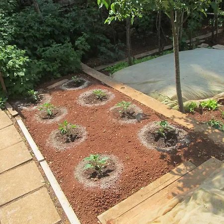 Apartament Artusi *