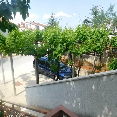 Artusi * Pula