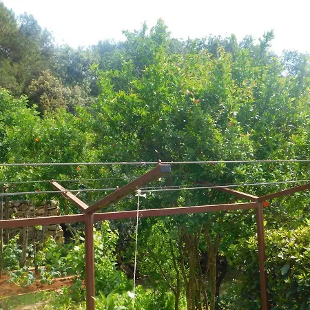 Artusi Apartamento Pula