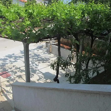 Artusi Pula