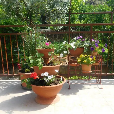 Artusi Appartement Pula