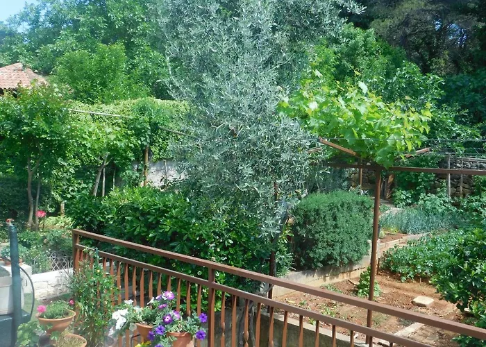 Διαμέρισμα Artusi *