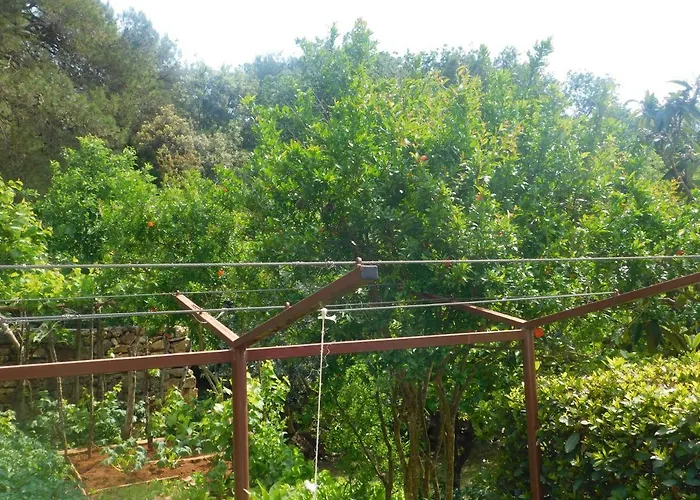 Artusi Διαμέρισμα Πούλα